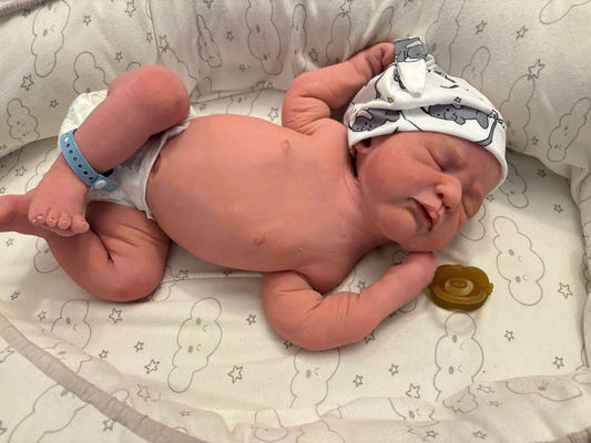 silicone reborn doll (high quality)
