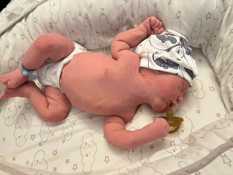 silicone reborn doll (high quality)