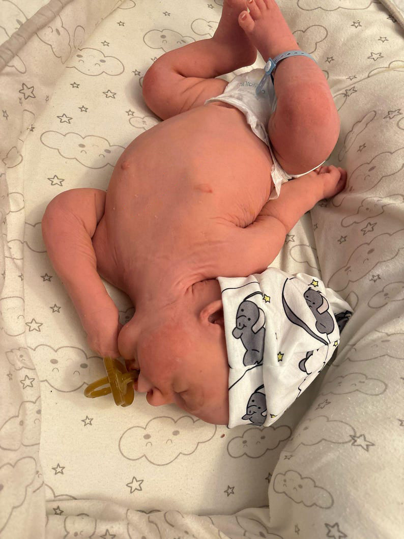 silicone reborn doll (high quality)